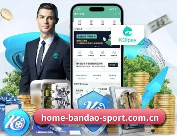 www.home-bandao-sport.com.cn APP