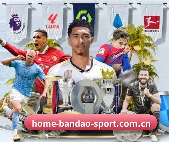 www.home-bandao-sport.com.cn APP